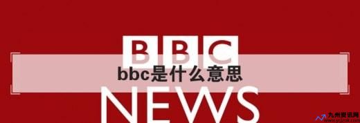 怼bbc记者(bbc记者是什么意思网络用语)