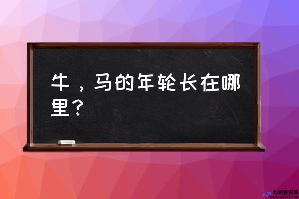 牛马的年轮长在什么地方上(牛马的年轮长在什么位置)