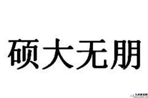 硕大无朋的朋什么意思啊(硕大无朋的朋是啥意思)