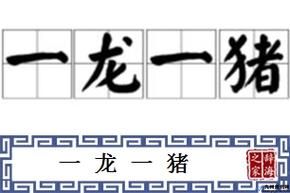 成语一龙一猪用来比喻两个人的成语(一猪一龙的成语故事)