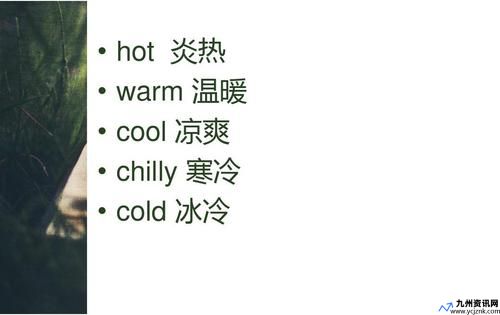 coo什么意思中文翻译成(cool什么意思)