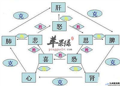 七情具上一句(七情具的意思)