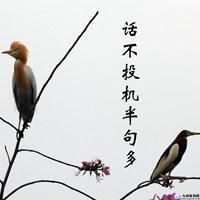 什么半句多来什么成语(什么半句多的上句是啥意思)