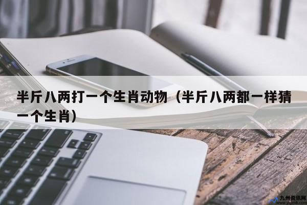 半斤八两,打一生肖(半斤八两猜一动物肖)