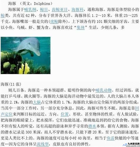 斑纹海豚属(镰鳍海豚简介)