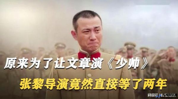 文章主演的电视剧少帅(文章主演的电视剧歌曲)