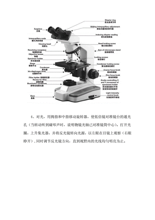 电子光学显微镜的使用方法(电子光学专业)