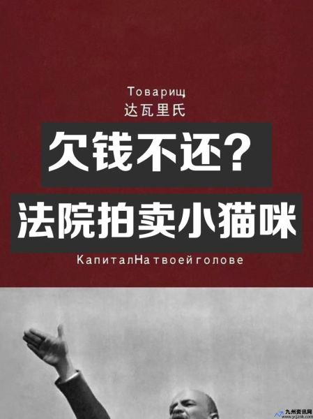 男子欠钱不还13只猫被拍卖了(男子欠钱不还13只猫被拍卖视频)