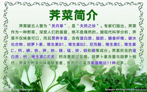 荠菜子功效与作用(荠菜子怎么做)