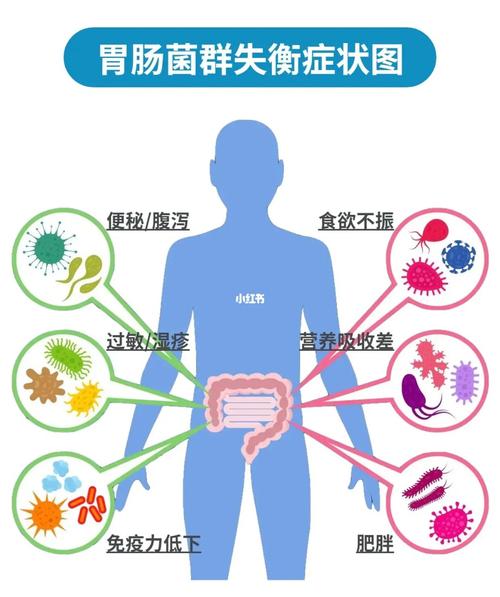  肠道菌群失调