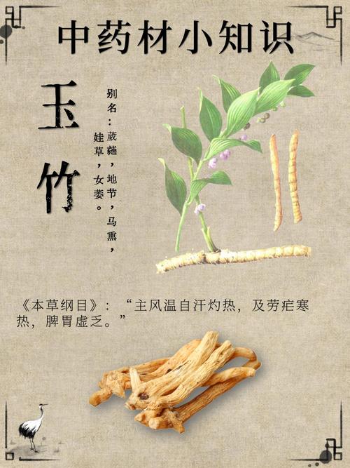 玉竹：天然鼻炎治疗奇药吗？