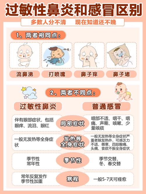 过敏性鼻炎：真的存在吗？