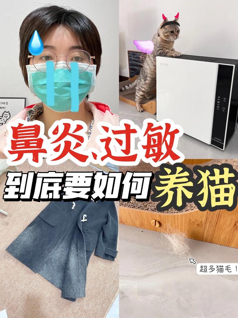 过敏性鼻炎患者可以养猫吗？